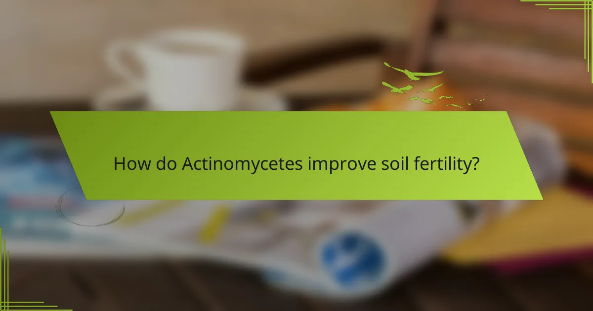 How do Actinomycetes improve soil fertility?