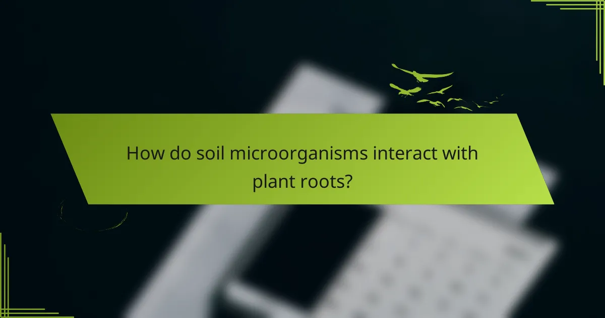 How do soil microorganisms interact with plant roots?