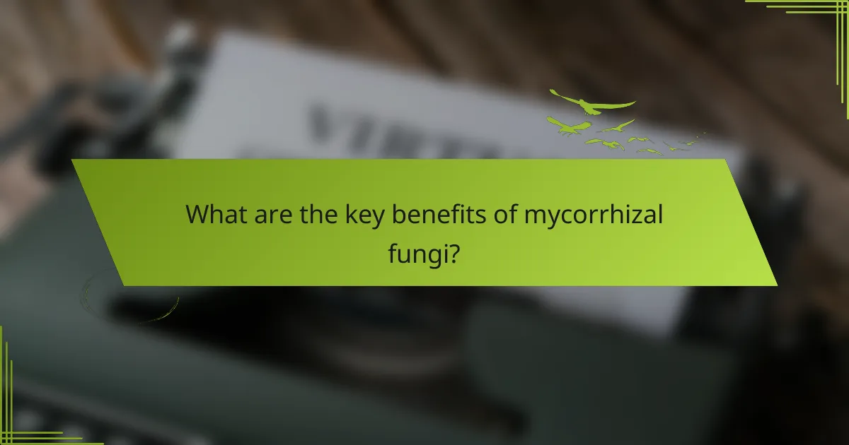 What are the key benefits of mycorrhizal fungi?