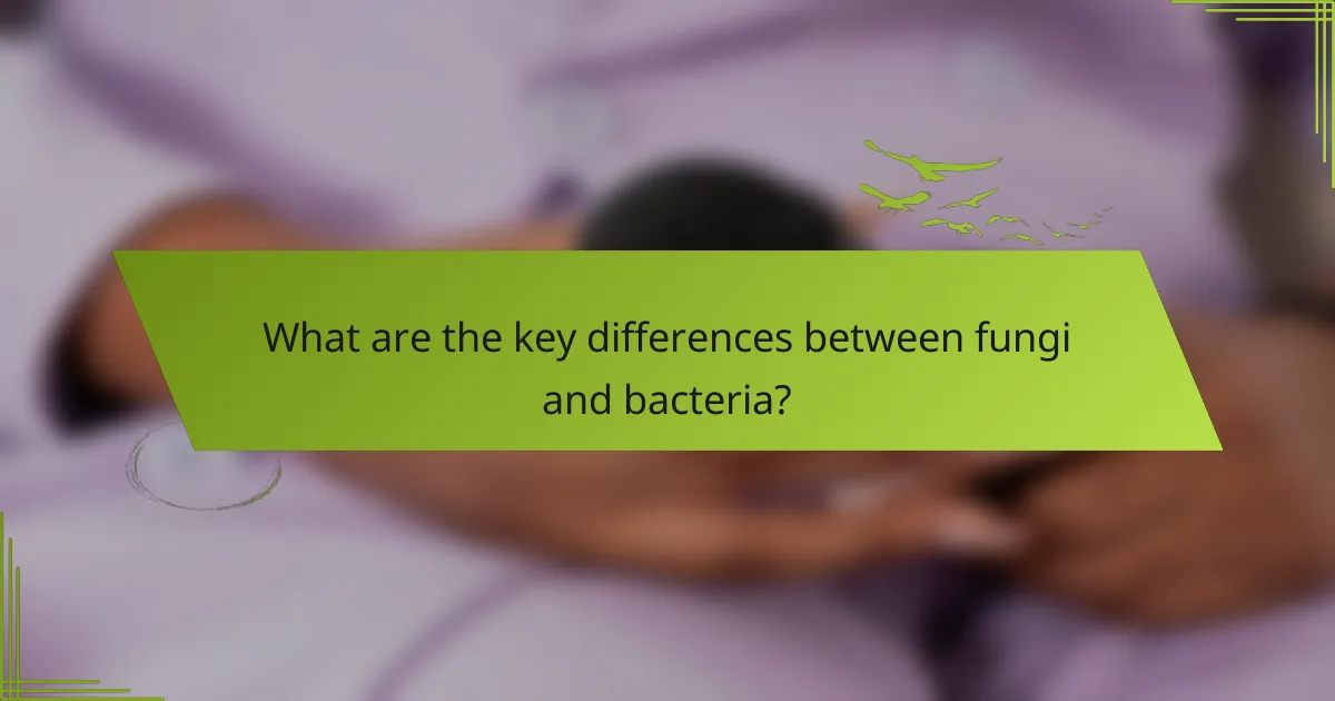 What are the key differences between fungi and bacteria?