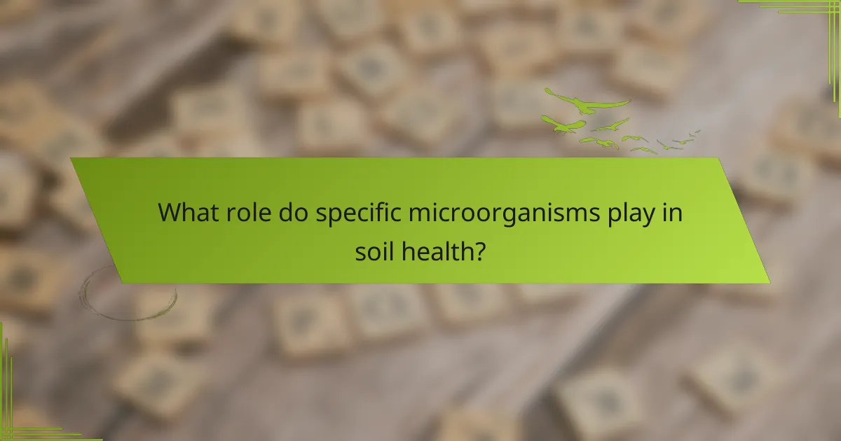 What role do specific microorganisms play in soil health?