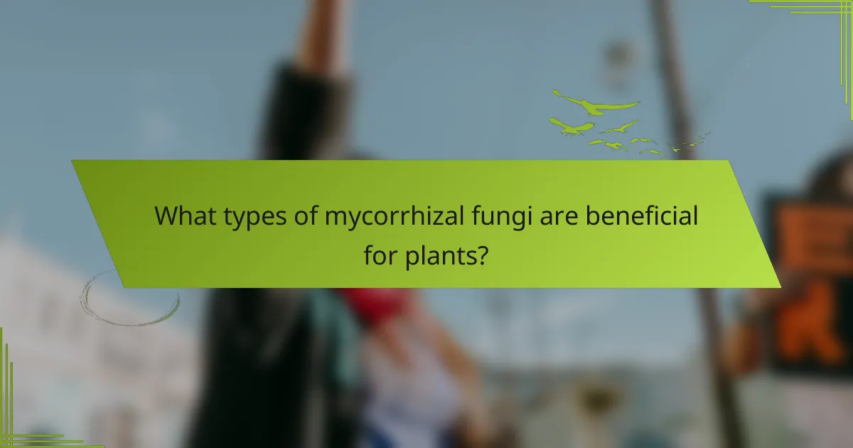 What types of mycorrhizal fungi are beneficial for plants?