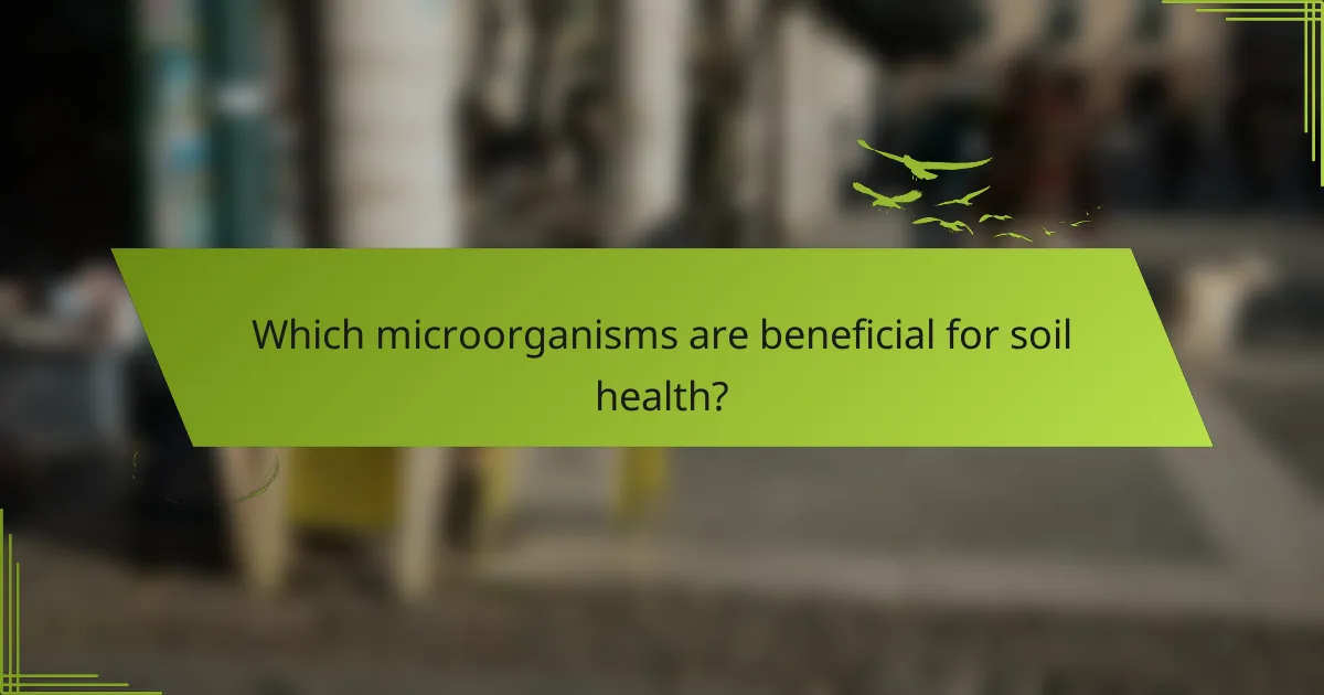 Which microorganisms are beneficial for soil health?